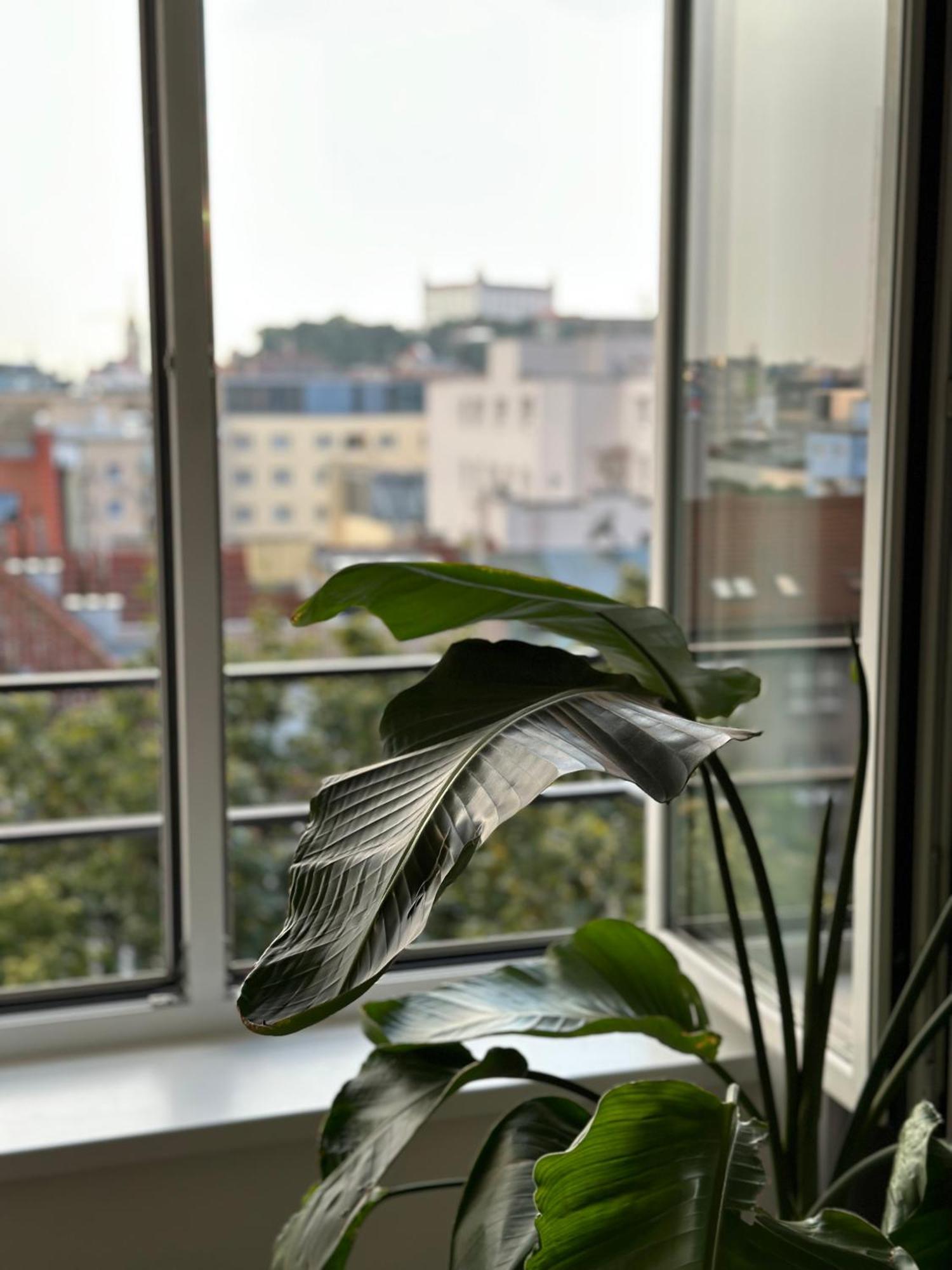 브라티슬라바 Urban Zenhouse No.2 - Breakfast Included 아파트 외부 사진